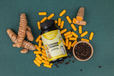 Curcuma Premium
