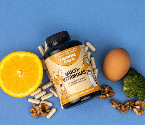 Multivitamines et minéraux