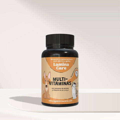 Multivitamines et minéraux