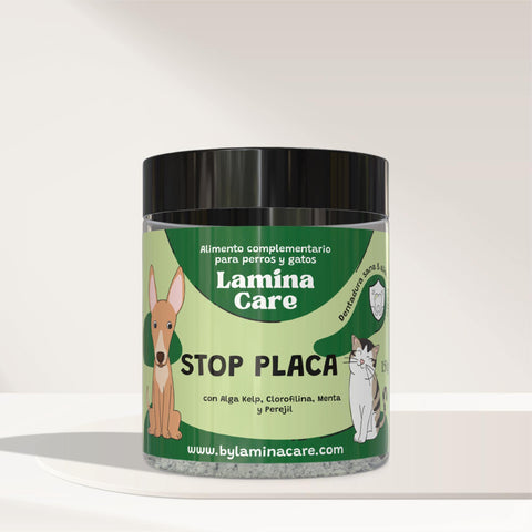 Stop plaque