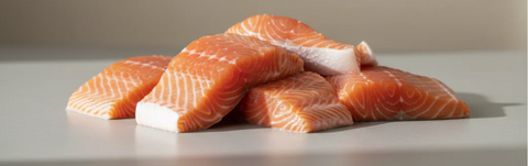 Omega-3 para perros y gatos: beneficios esenciales para su salud 🐟