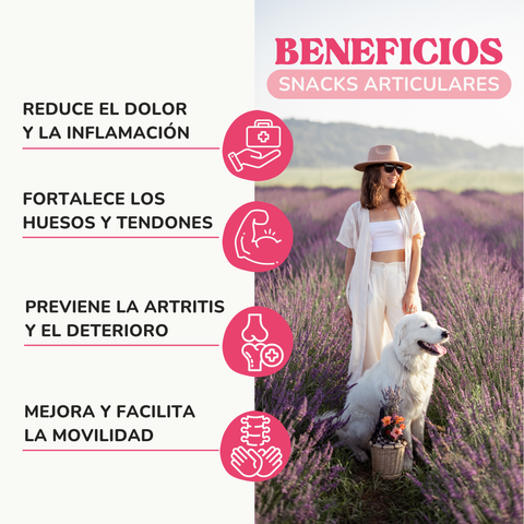 Snacks Articulaciones