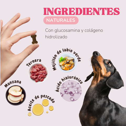 Snacks Articulaciones