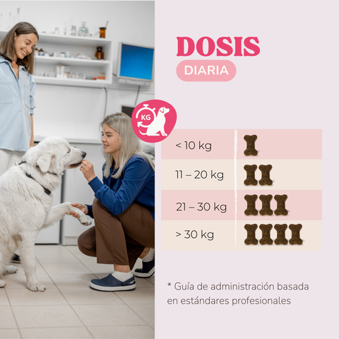 Snacks Articulaciones