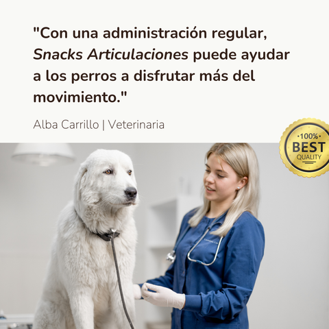 Snacks Articulaciones