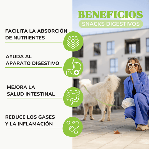 Snacks Digestivos