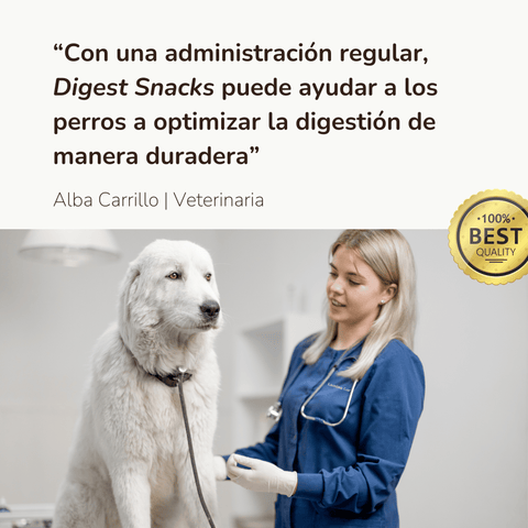 Snacks Digestivos