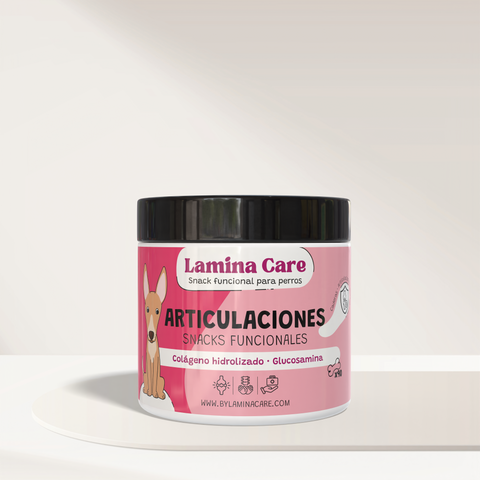 Snacks Articulaciones